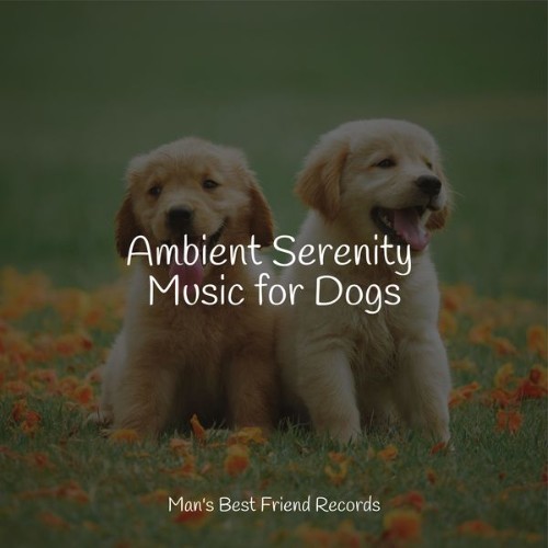 Sleepy Dogs - Ambient Serenity Music for Dogs - 2022