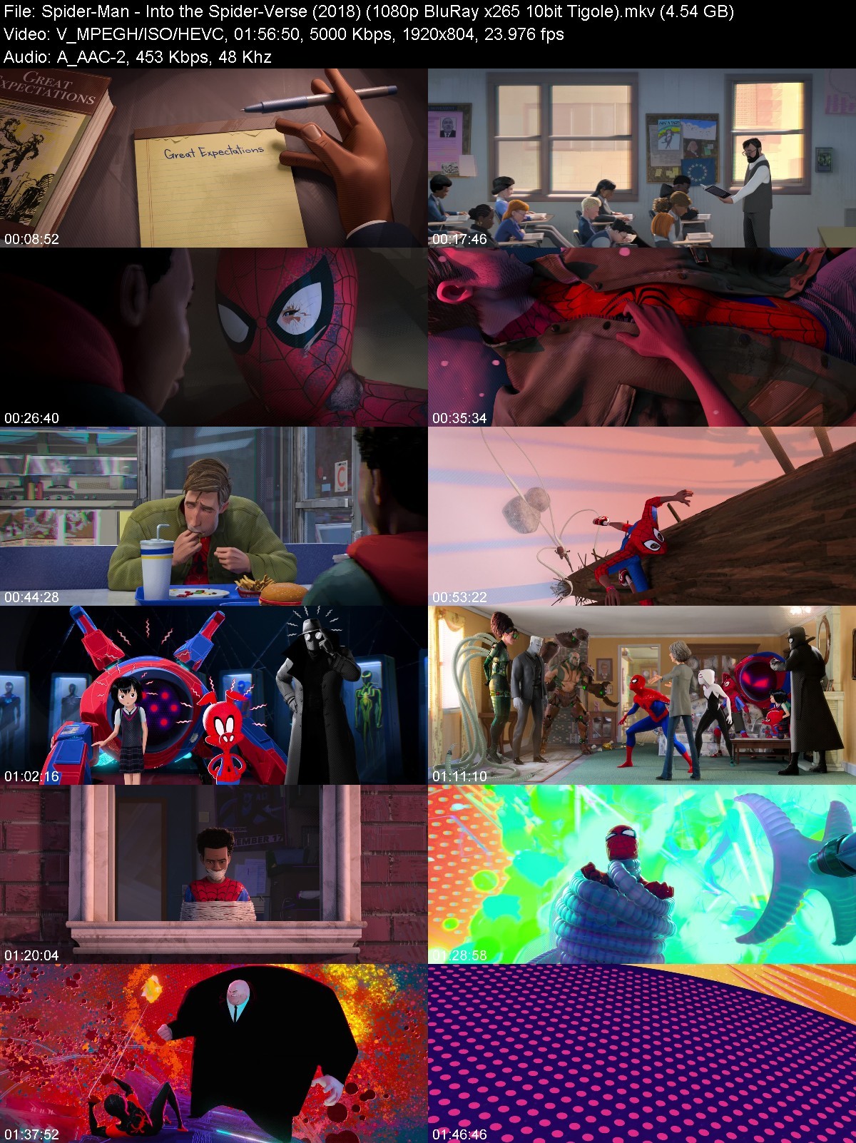 Spider-Man Into the Spider-Verse 2018 1080p BluRay x265 HEVC 10bit AAC 5.1 - Tigole