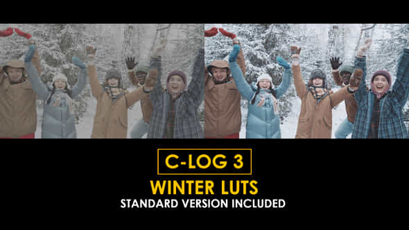 Clog3 Winter And Standard Luts - VideoHive 51223152