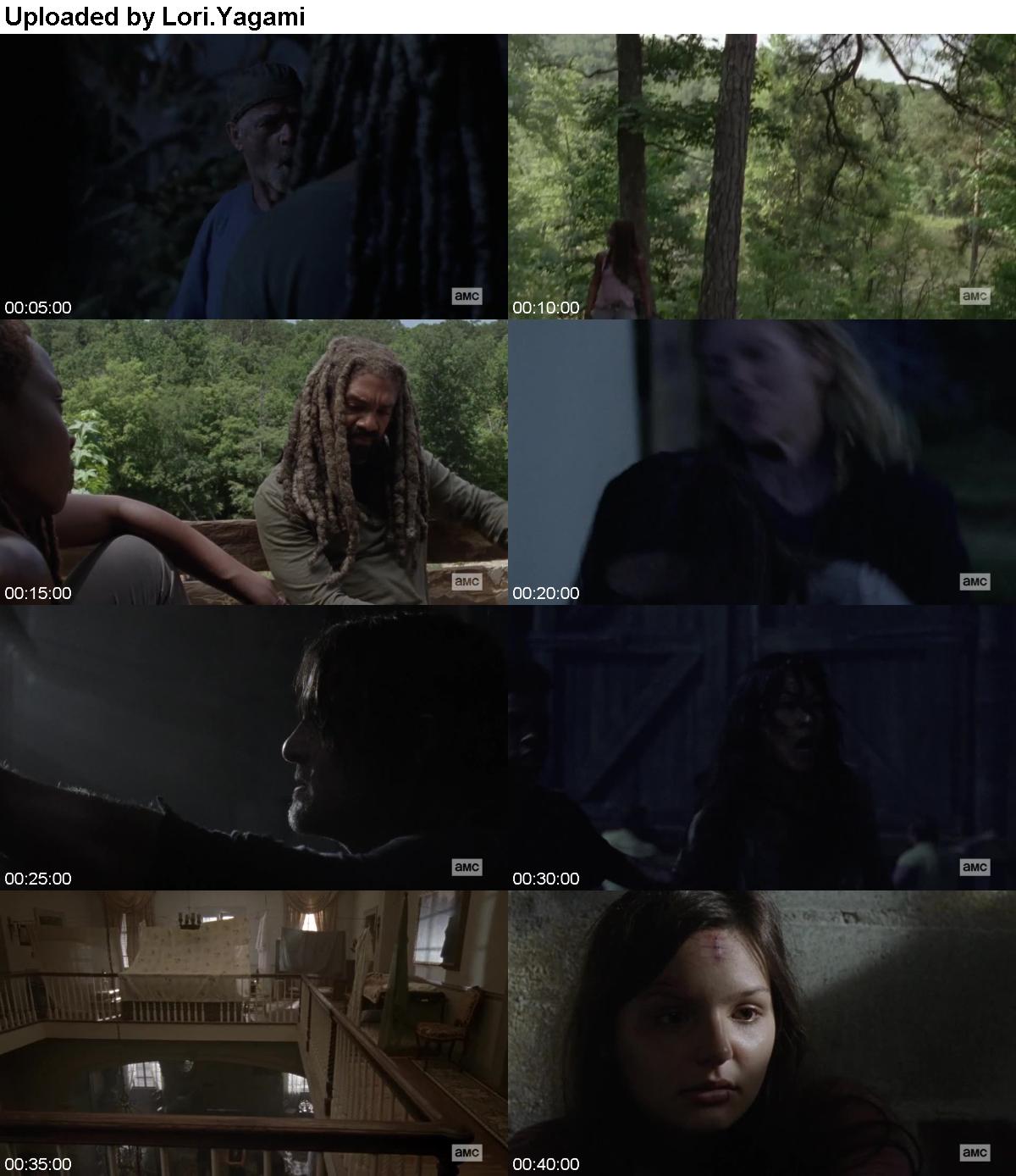 The Walking Dead S10E04 WEB H264-XLF