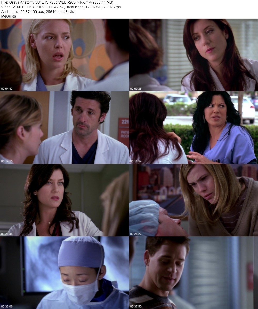 Greys Anatomy S04E13 720p WEB x265-MiNX