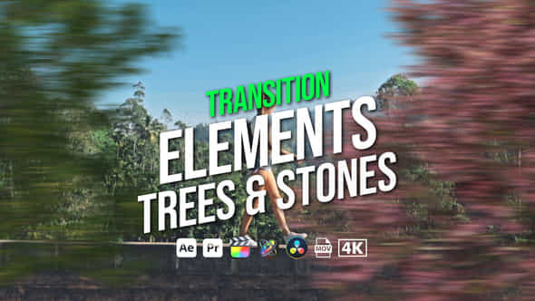 Transition Elements Trees - VideoHive 45403706