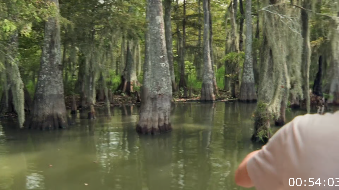 Swamp People S15E09 [1080p] (x265) EGI8bqr1_o