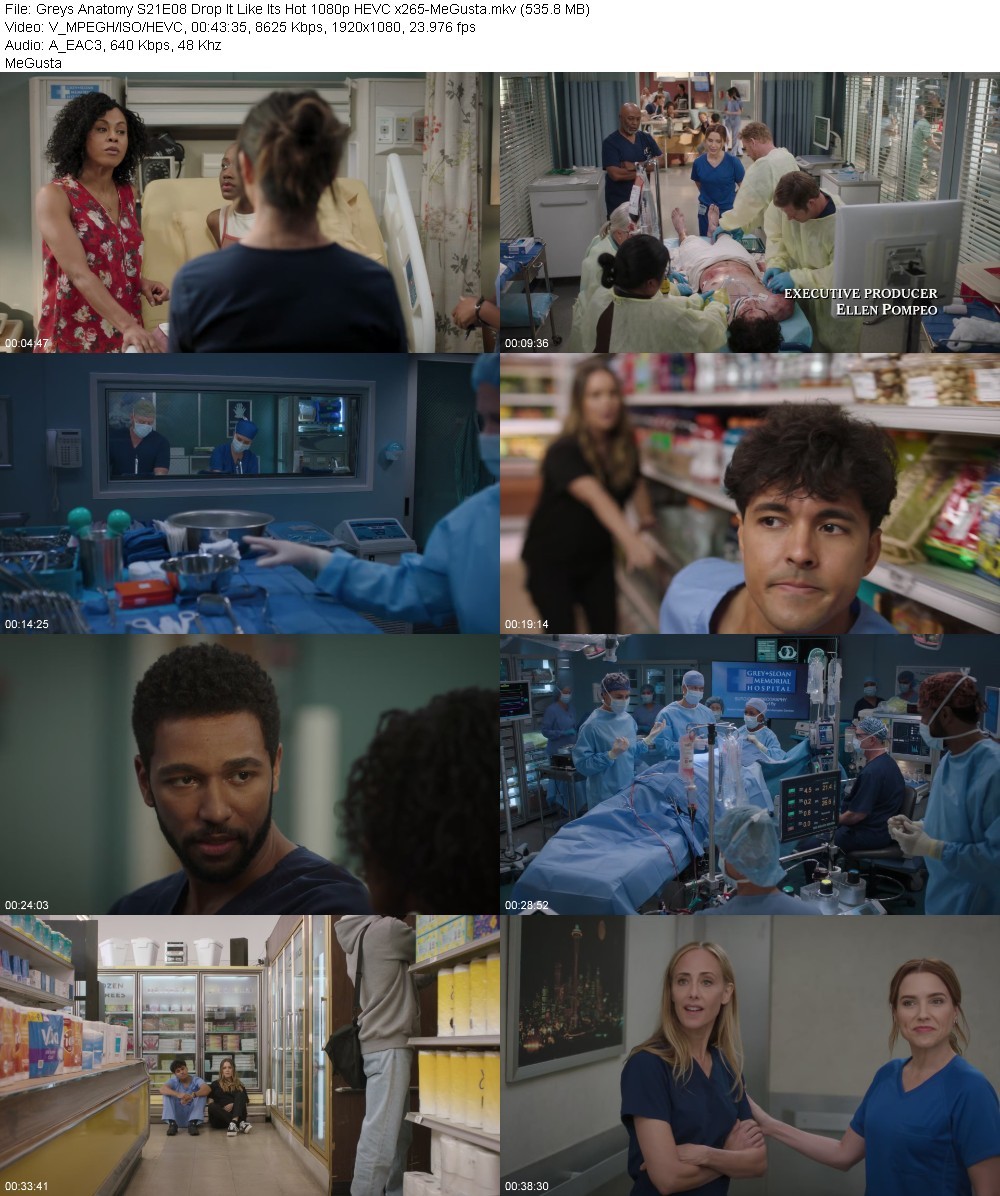 Greys Anatomy S21E08 Drop It Like Its Hot 1080p HEVC x265-MeGusta