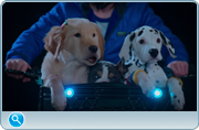 https//images2.imgbox.com/de/5c/sZnzUrrL_o.png