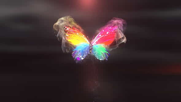 Colorful Butterfly Logo Reveal 4K - VideoHive 28927421