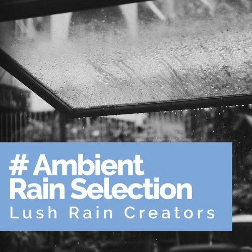 Lush Rain Creators - # Ambient Rain Selection - 2019