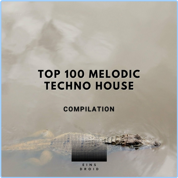 VA Top 100 Melodic Techno House (2024) WEB [FLAC] 16BITS 44 1KHZ ISKP7sqn_o