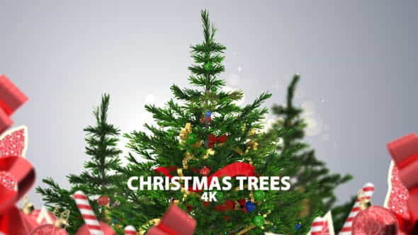 Christmas Trees - VideoHive 29699108