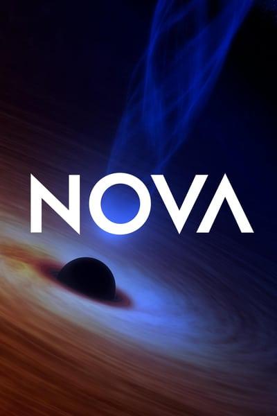 NOVA S48E07 Reef Rescue 720p HEVC x265-MeGusta