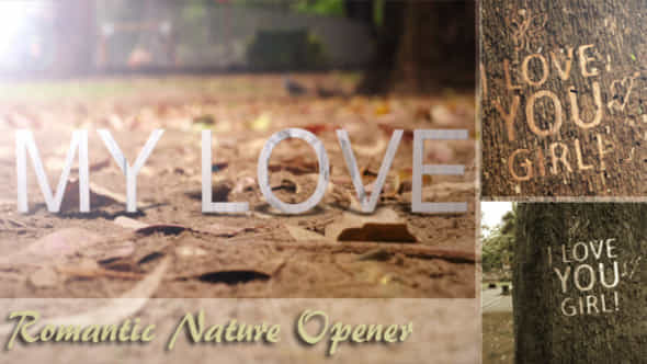 Romantic Nature Opener - VideoHive 4719502