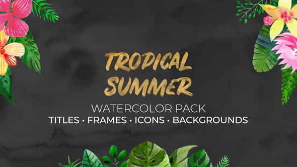 Tropical Summer. Watercolor Pack - VideoHive 36049583