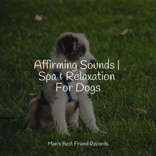 Pet Care Club - Affirming Sounds  Spa & Relaxation For Dogs - 2022