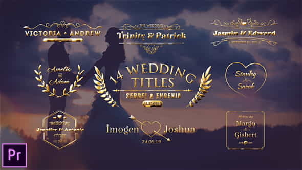 Wedding Titles - VideoHive 23793642
