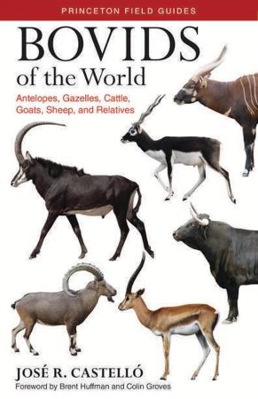 Bovids of the World   Antelopes, gazelles, Cattle, Goats, Sheep, and Relatives