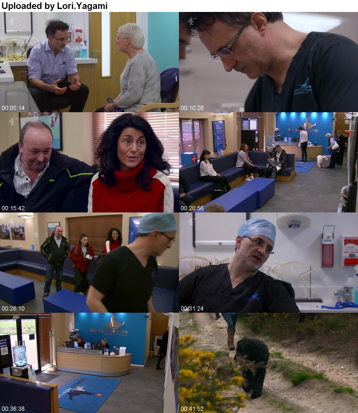 The Supervet S13E06 HDTV x264-PLUTONiUM