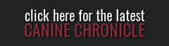 the latest chronicle