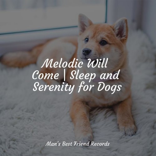 Calm Doggy - Melodic Will Come  Sleep and Serenity for Dogs - 2022