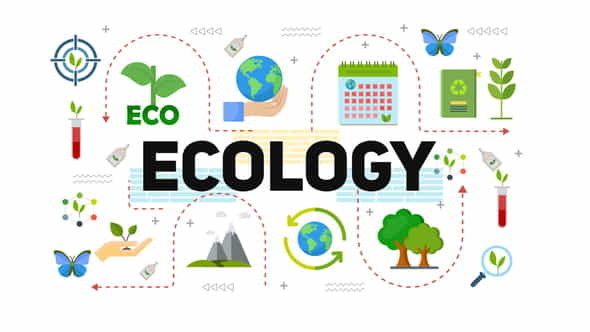 EcologyEnergy - VideoHive 38522287