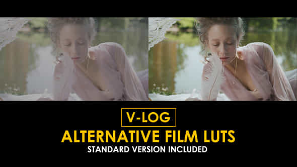 Vlog Alternative Film And Standard Color Luts - VideoHive 51303391