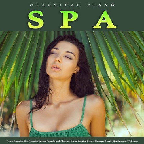 Spa Music Relaxation - Classical Piano Spa Forest Sounds, Bird Sounds, Nature Sounds and Classica...