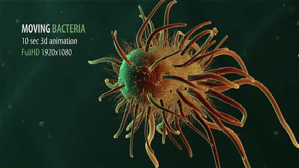 Moving Bacteria - VideoHive 19228826