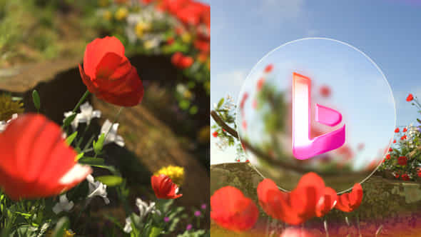 Flower Spring Logo - VideoHive 45076139