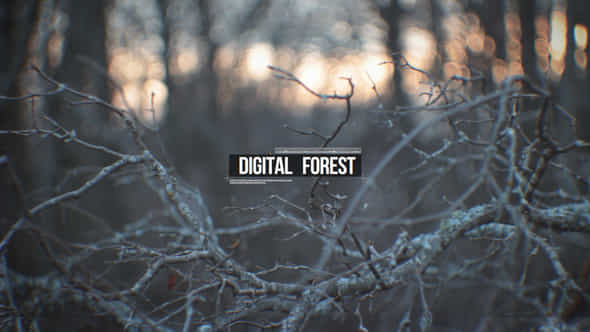Digital Forest - VideoHive 30866393