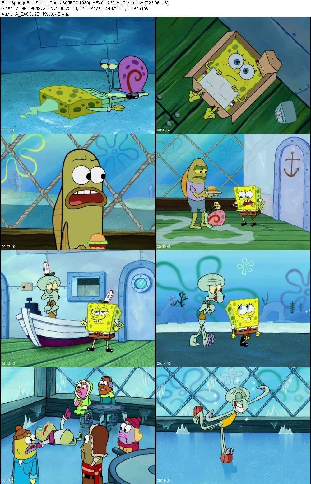 XMCMhBdD_o.jpg