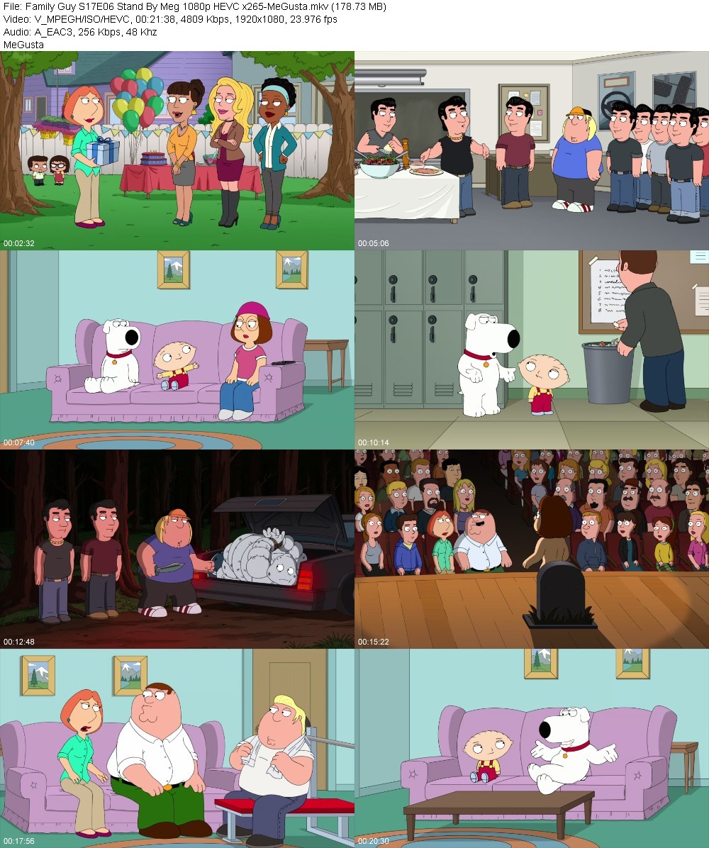 Family Guy S17E06 Stand By Meg 1080p HEVC x265-MeGusta