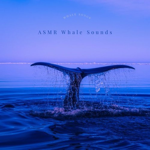 ASMR Whale Sounds - Whale Songs - 2022