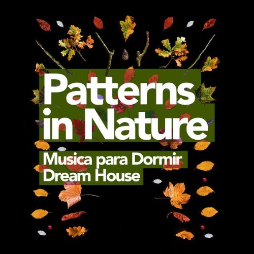 Musica para Dormir Dream House - Patterns in Nature - 2019