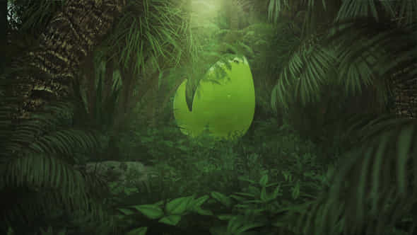 Naturejungle Logo Reveal - VideoHive 26312901