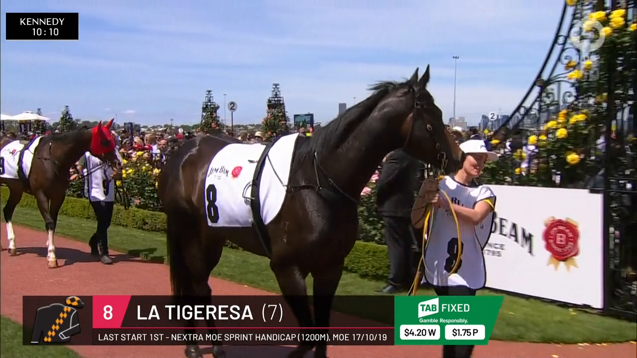 Melbourne Cup Carnival 2019 720p HDTV x264-PLUTONiUM