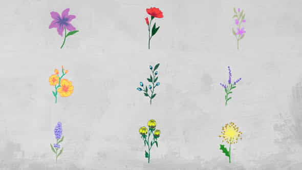 Flowers Elements - VideoHive 51586187