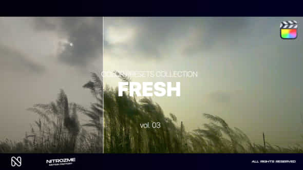 Fresh LUT Collection - VideoHive 48341743