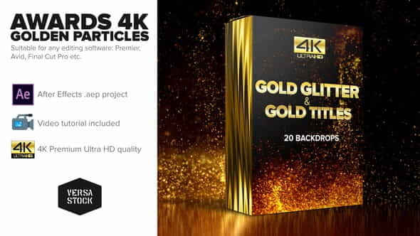 Awards 4K Golden Glitter Particles - VideoHive 24982436