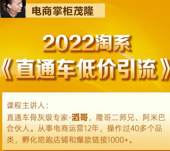 茂隆2022直通车低价引流玩法，教大家如何低投入高回报的直通车玩法