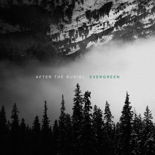 After the Burial - Evergreen (2019) 0n6BhH9J_o