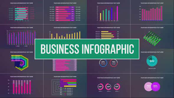 Business Infographic - VideoHive 32160033
