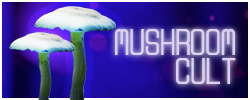 rLoWnZ46_o.png