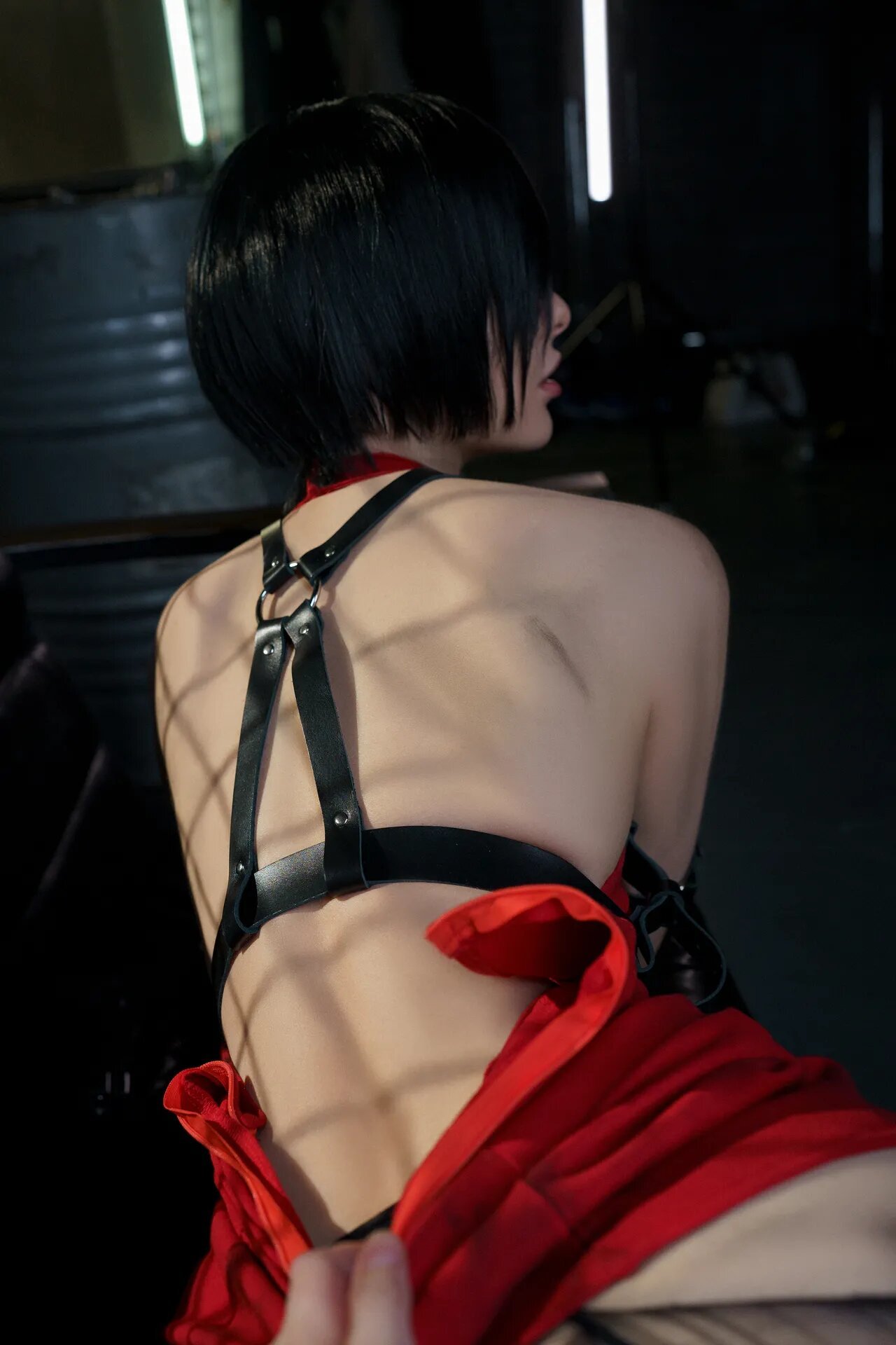 Vinnegal - Ada Wong