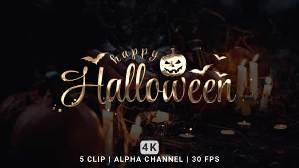 Happy Halloween Text Animation - VideoHive 48047580