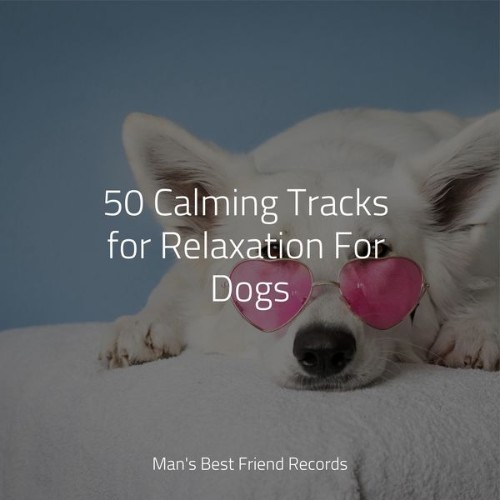 Relaxmydog - 50 Calming Tracks for Relaxation For Dogs - 2022