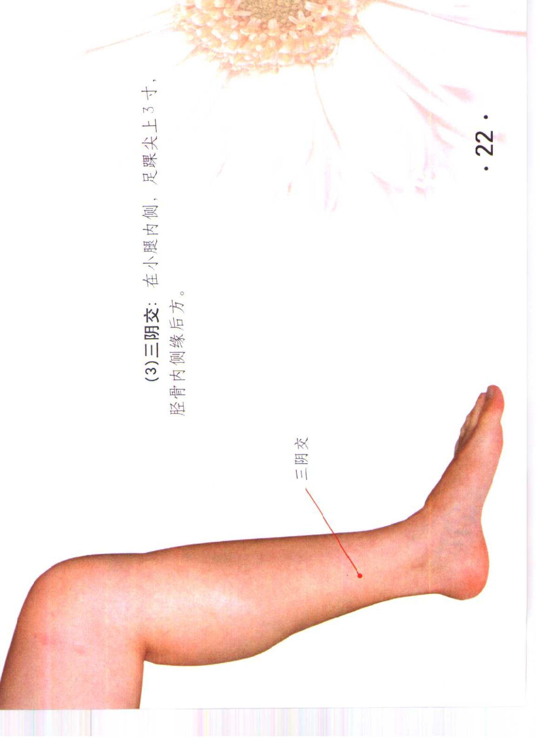 书籍扫描 乳房保健按摩彩色图谱(27)