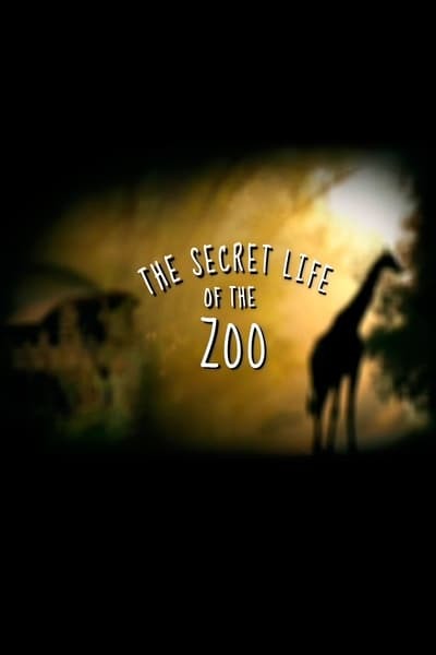 The Secret Life of the Zoo S10E02 1080p HEVC x265-MeGusta