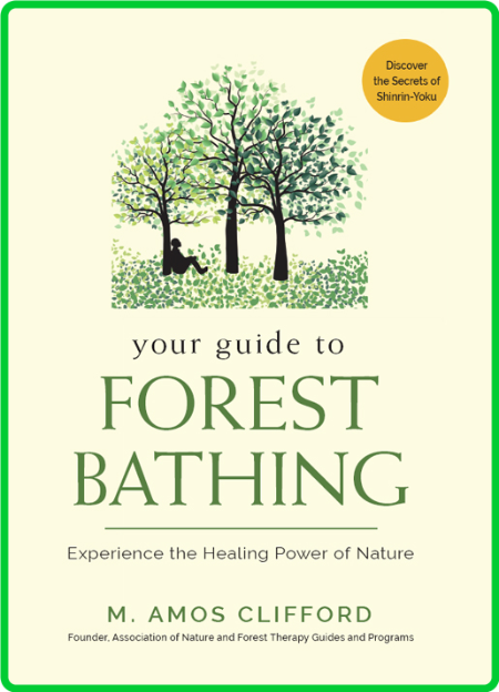 Your Guide to Forest Bathing - Experience the Healing Power of Nature []