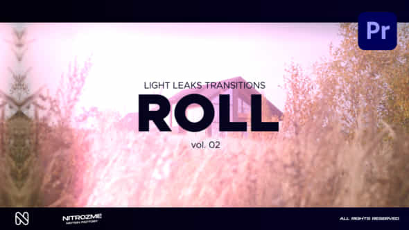 Light Leaks Roll - VideoHive 46211571