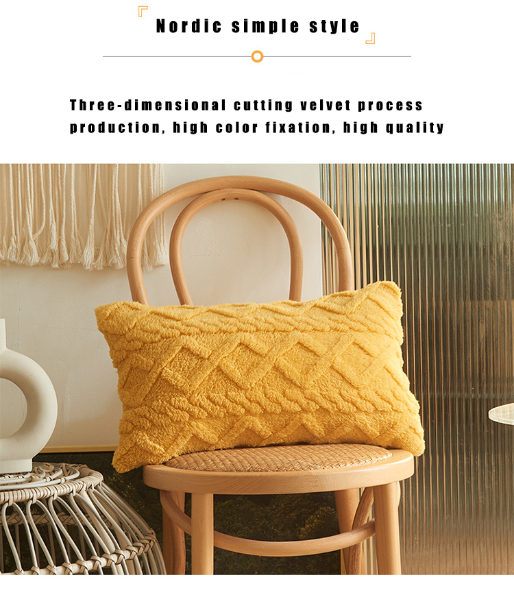 Pack of 2 Plush Throw Pillow Covers Short Wool Fleece Pillowcase for Sofa Chair