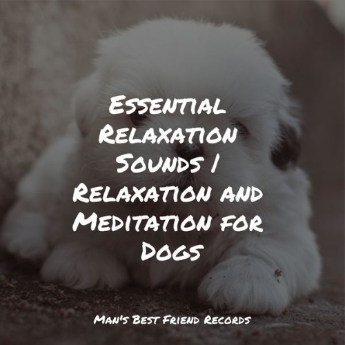 Sleeping Music For Dogs - Essential Relaxation Sounds  Relaxation and Meditation for Dogs - 2022